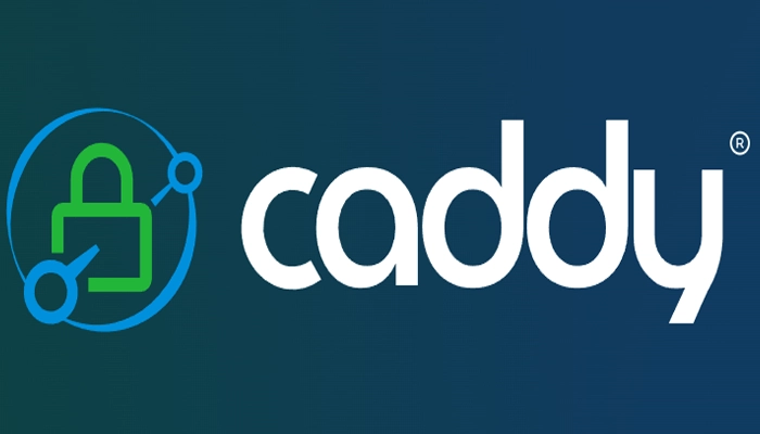 انواع وبسرور چیست؟ وب سرور Caddy