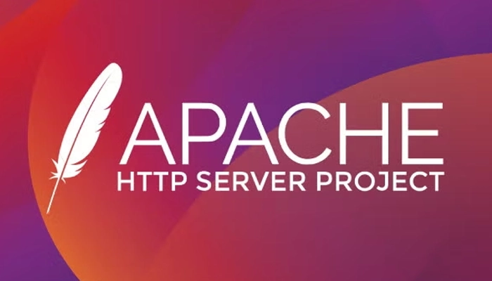 وب سرور چیست - انواع وب سرور آپاچی - وب سرور های معروف