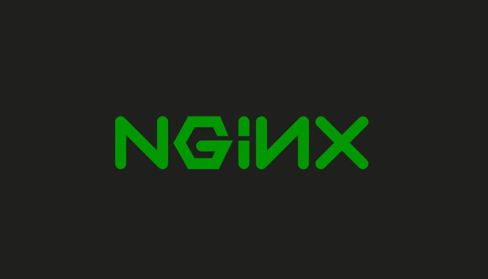 وب سرور چیست - انواع وب سرور Nginx